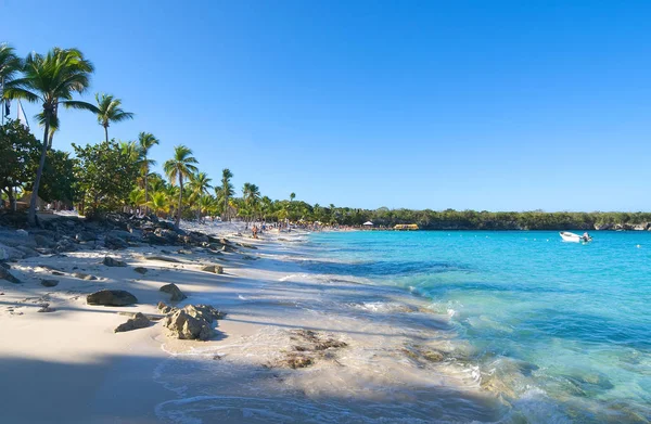 Playa de la isla Catalina - Caribbean tropical beach and sea — Stock Photo, Image