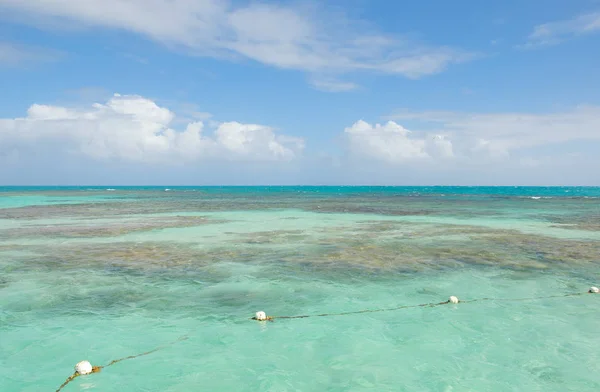 Antigua isla y costa - Saint John 's - Antigua y Barbuda — Foto de Stock