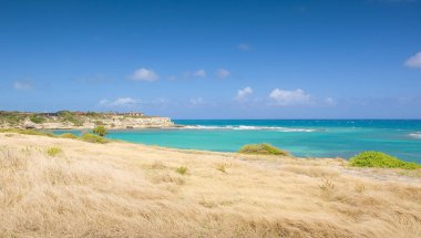 Şeytan'ın Köprüsü defne - Karayip Denizi - Antigua ve Barbuda