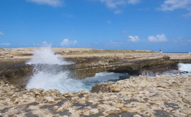 Şeytan'ın Köprüsü defne - Karayip Denizi - Antigua ve Barbuda
