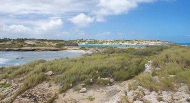 Şeytan'ın Köprüsü defne - Karayip Denizi - Antigua ve Barbuda