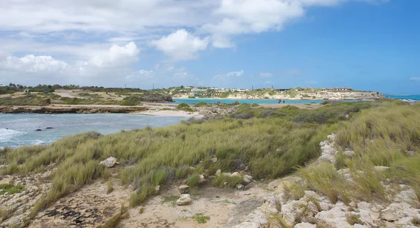 Şeytan'ın Köprüsü defne - Karayip Denizi - Antigua ve Barbuda