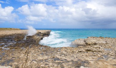 Şeytan'ın Köprüsü defne - Karayip Denizi - Antigua ve Barbuda