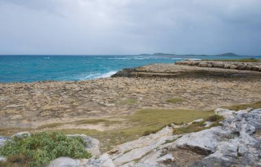 Şeytan'ın Köprüsü defne - Karayip Denizi - Antigua ve Barbuda