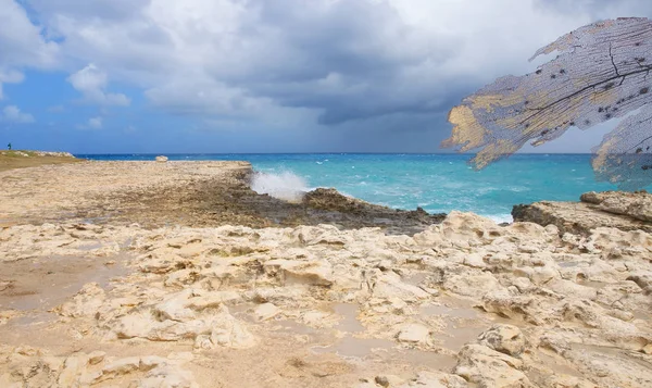 Şeytan'ın Köprüsü defne - Karayip Denizi - Antigua ve Barbuda