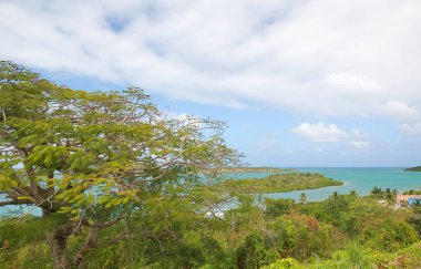 Mercer'lar Creek Atlantik Okyanusu kıyısı - Saint John's - Antigua ve Barbuda bay