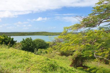 Mercer'lar Creek Atlantik Okyanusu kıyısı - Karayip tropik deniz - Antigua ve Barbuda bay