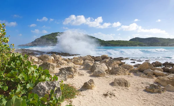 Half Moon Bay Atlanti-óceán partján - karibi trópusi sziget - Antigua és Barbuda — Stock Fotó