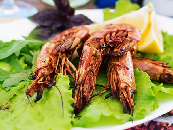 Grilled Tiger shrimps in marinade — Stockfoto