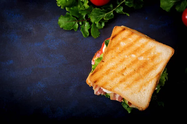 Большой клуб сэндвичей — стоковое фото