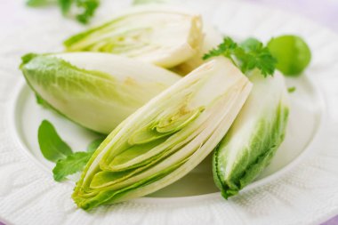 Taze ve sağlıklı hindiba (witloof) salata