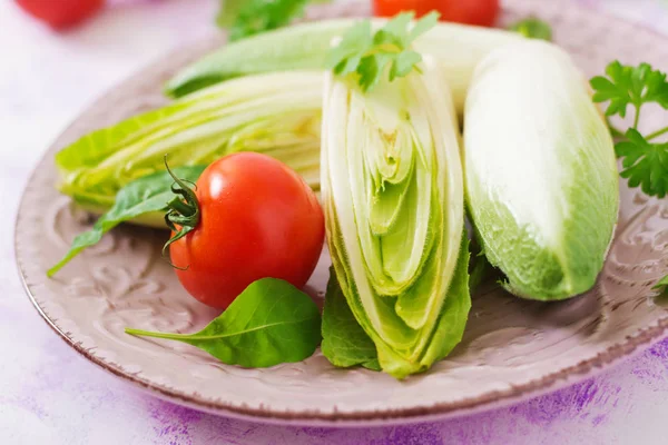 Fresh and healthy Chicory (witloof) Salad — Stock Photo, Image