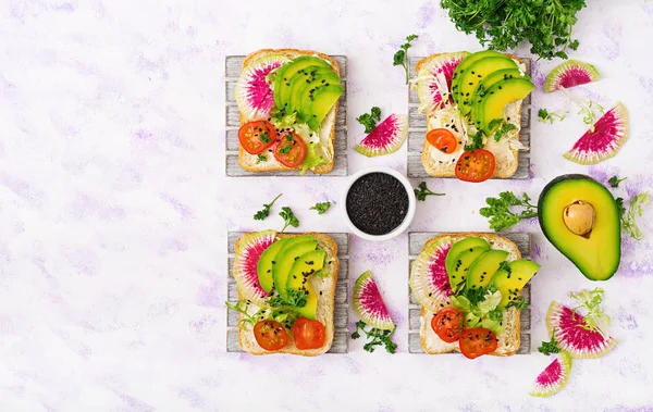 Vegane Sandwiches Rettich und Tomaten — Stockfoto