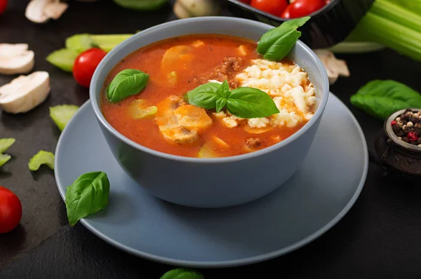 Hustá rajčatová polévka s mletým hovězím masem — Stock fotografie