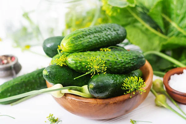 Pickled marinated cucumbers — Stock Photo, Image