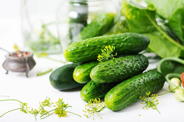 Zubereitung eingelegter marinierter Gurken — Stockfoto