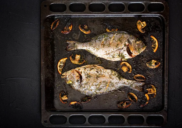 Рыба-дорадо — стоковое фото