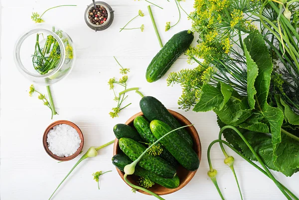 Cucumbers, herbs and salt. — Stock Image Cucumbers, herbs and salt. Stock Image