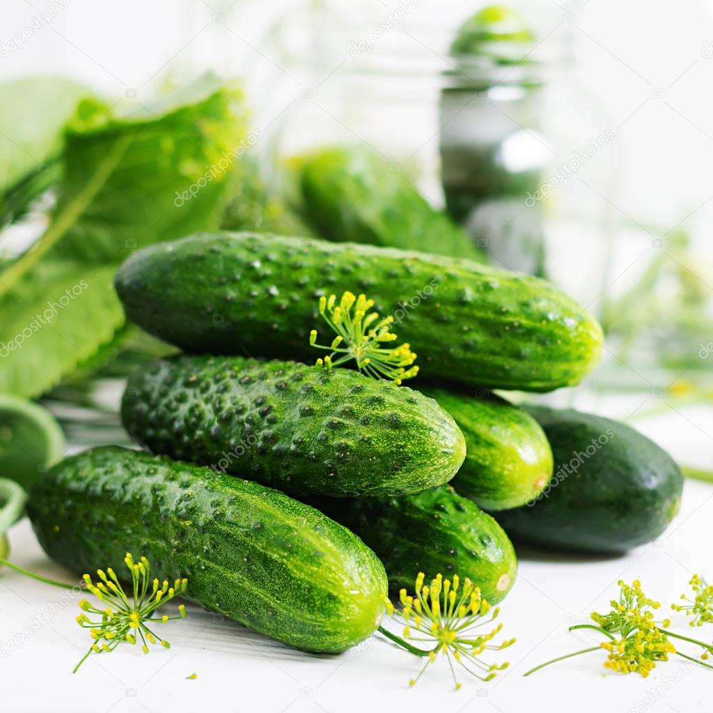 pickled marinated cucumbers