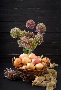 Taze genç soğan ampuller