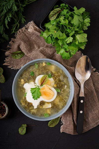 Green soup of sorrel — Stock Image Green soup of sorrel Stock Image
