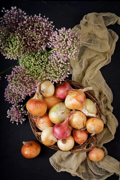 Taze genç soğan ampuller