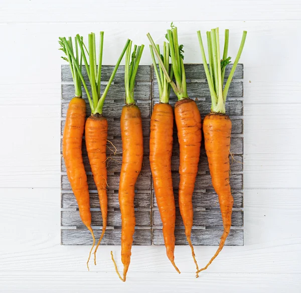 yeşil yaprakları ile taze havuç