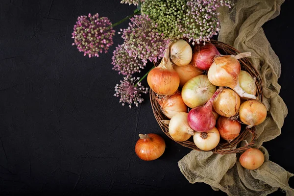 Taze genç soğan ampuller