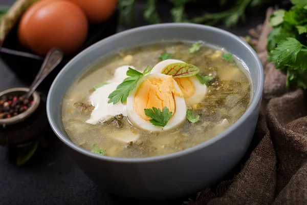 Green soup of sorrel — Stock Image Green soup of sorrel Royalty Free Stock Photos