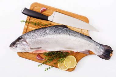 Taze Çiğ somon kırmızı balık