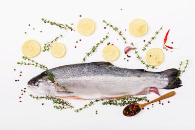 Taze Çiğ somon kırmızı balık