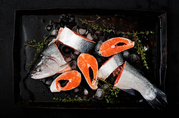 Кусочки свежего лосося со льдом — стоковое фото