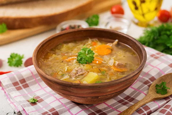 Русский суп с капустой — стоковое фото