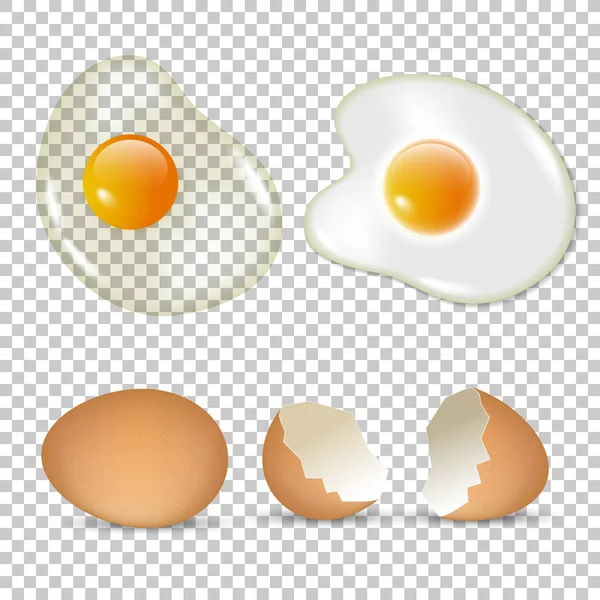 Huevos crudos y fritos — Vector de stock