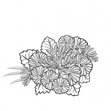 Tek renkli siyah ve beyaz kompozisyon