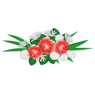 lilyum ve papatyalar