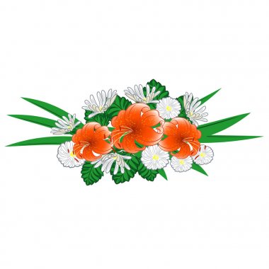 lilyum ve papatyalar