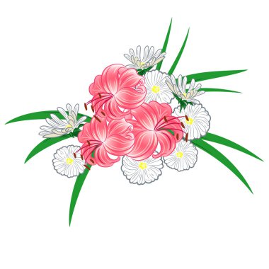 Lilyum ve chamomiles