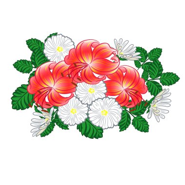 Lilyum ve chamomiles