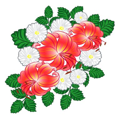 lilyum ve papatyalar