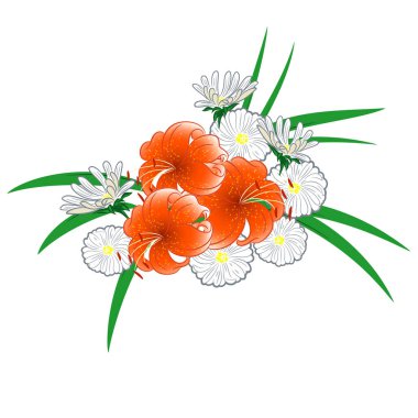 lilyum ve papatyalar