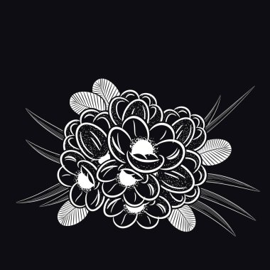 Siyah arkaplanda çiçekler