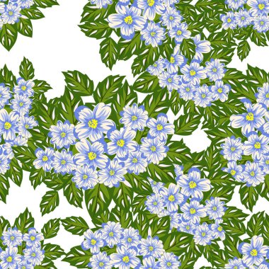 Çiçeklerin kusursuz deseni