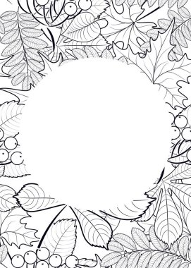 vektör, desen, sonbahar yaprakları ile çerçeve 