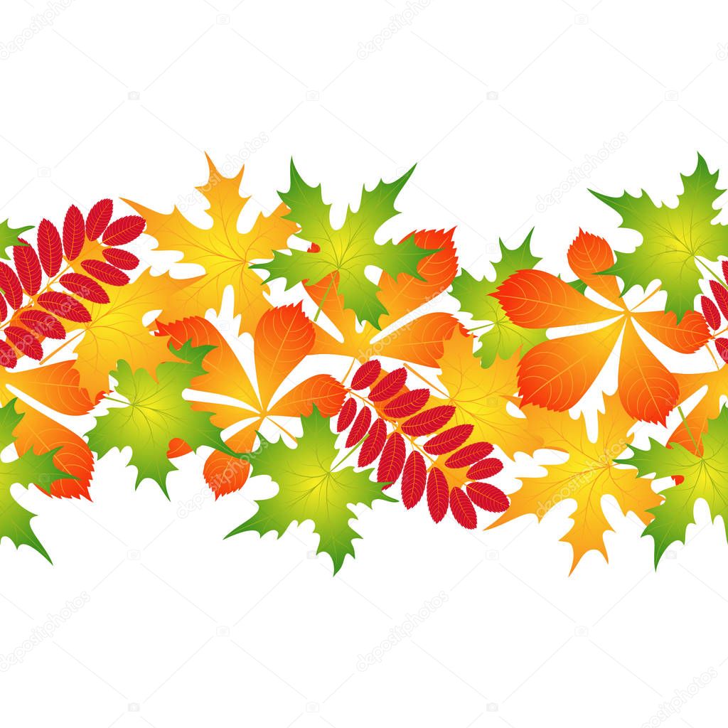 vector seamless pattern of autumn leaves 