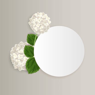 vektör, çiçekli çerçeve