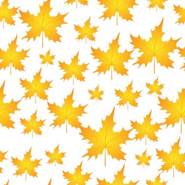 Sonbahar yapraklarının kusursuz deseni