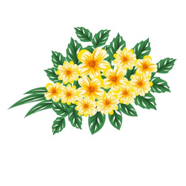 kompozisyon bir çiçek