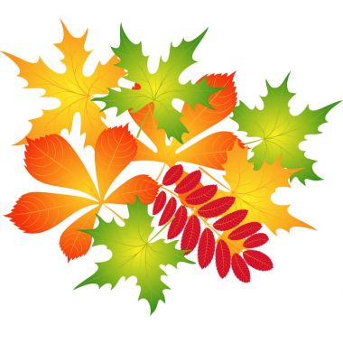 sonbahar yaprakları bileşimi