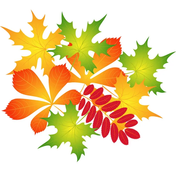 sonbahar yaprakları bileşimi